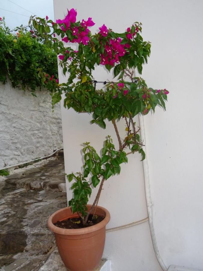 הוילה Koróni Fotis House מראה חיצוני תמונה